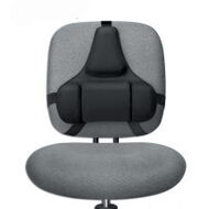 Fellowes podpórka profesjonalna pod plecy | 8041801